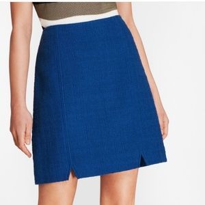 Blue Aline Skirt NWT